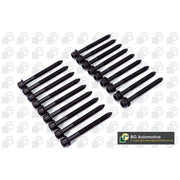 BGA Cylinder Head Bolt Set M11 BK3355