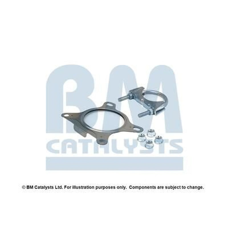 BM Catalysts Fitting Kit FK91929B FK91929B