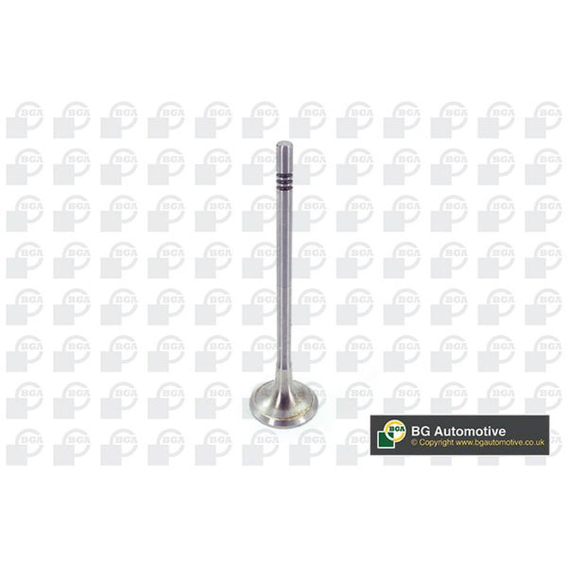 BGA Engine Exhaust Valve 25mm Head fits Audi A3 2019 on