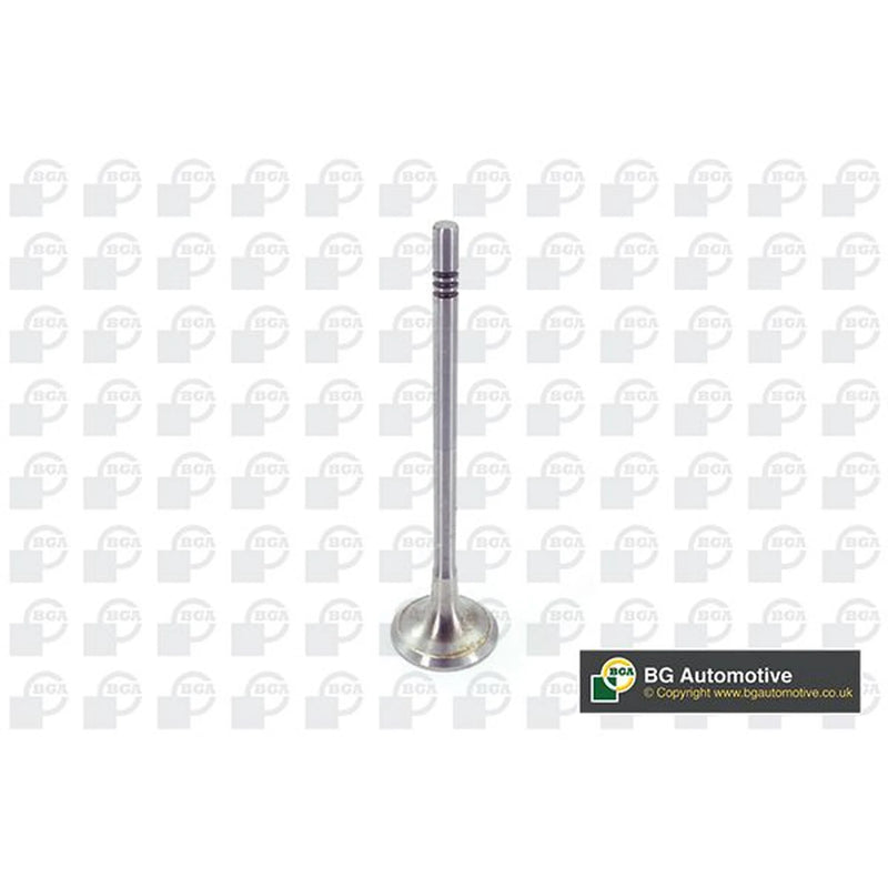 BGA Engine Exhaust Valve 25mm Head V200611