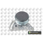 BGA V-Ribbed Belt Tensioner Pulley OD Wide DC0102