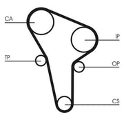 Continental CTAM Timing Belt Cambelt 135 Teeth fits Audi 80 B2 1980-1986 1.6
