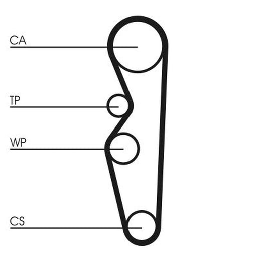 Continental CTAM Timing Belt Cambelt 97 Teeth fits Ford Sierra II 1987-1993 1.8
