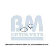 BM Catalysts Fitting Kit FK11256A FK11256A