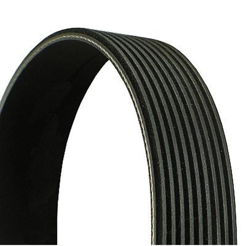 Continental CTAM Multi V-Ribbed Drive Belt