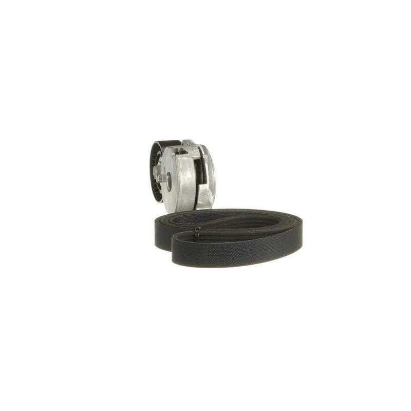 Gates V-Ribbed Belt Set K066PK1210
