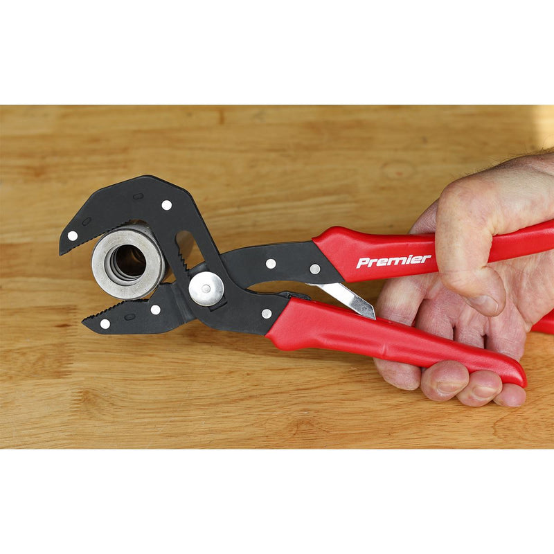 Sealey Pliers Multi-Grip Self-Adjusting 250mm AK8536 Sealey - Dynamic Drive