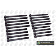 BGA Cylinder Head Bolt Set M11 BK6389