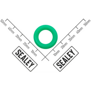 Sealey Teflon Seal