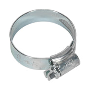Sealey HI-GRIPï Hose Clip Zinc Plated30-40mm Pack of 20 HCJ1X Sealey - Dynamic Drive
