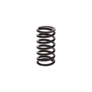 Bosch Compression Spring