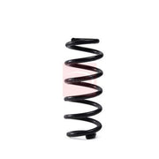 Apec Rear Suspension Coil Spring fits Audi A3 2012-2020 2.0
