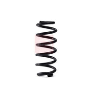 Apec Rear Suspension Coil Spring ACS2003