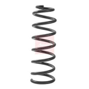 Apec Front Suspension Coil Spring ACS2481