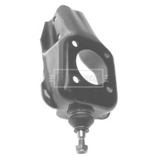 Borg & Beck Ball Joint Lower BBJ5076