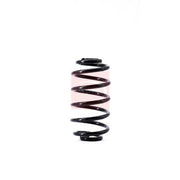 Apec Rear Suspension Coil Spring ACS1522