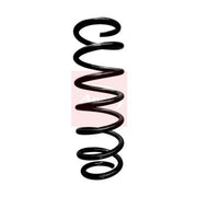 Apec Rear Suspension Coil Spring fits BMW X3 2010-2017