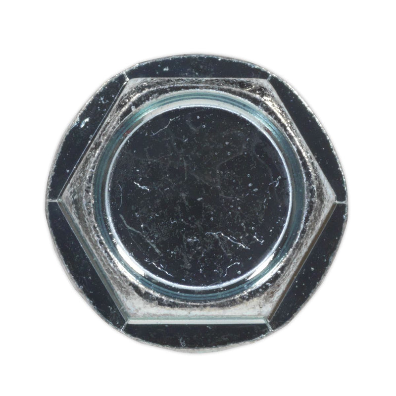 Sealey Self Drilling Screw 5.5 x 25mm Hex Head Zinc Pack of 100 SDHX5525 Sealey - Dynamic Drive