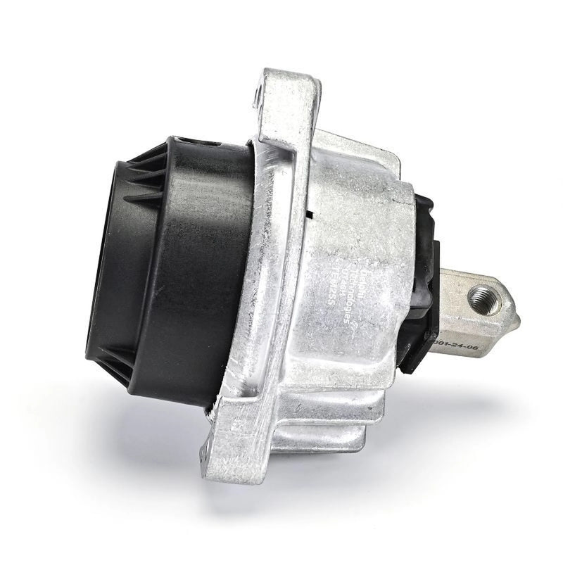 Delphi Engine Mount Mounting both sides fits BMW 5 2010-2017