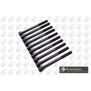 BGA Cylinder Head Bolt Set M10 BK3349