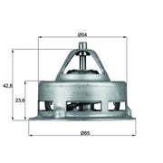 Mahle Thermostat,Coolant