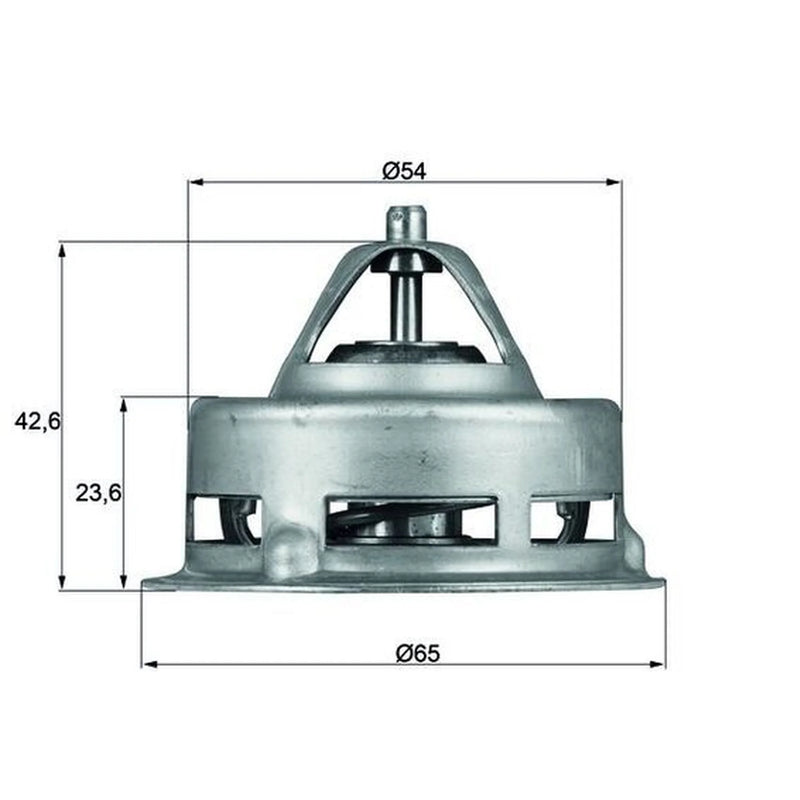 Mahle Thermostat,Coolant