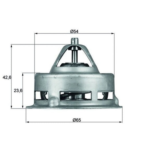 Mahle Thermostat,Coolant