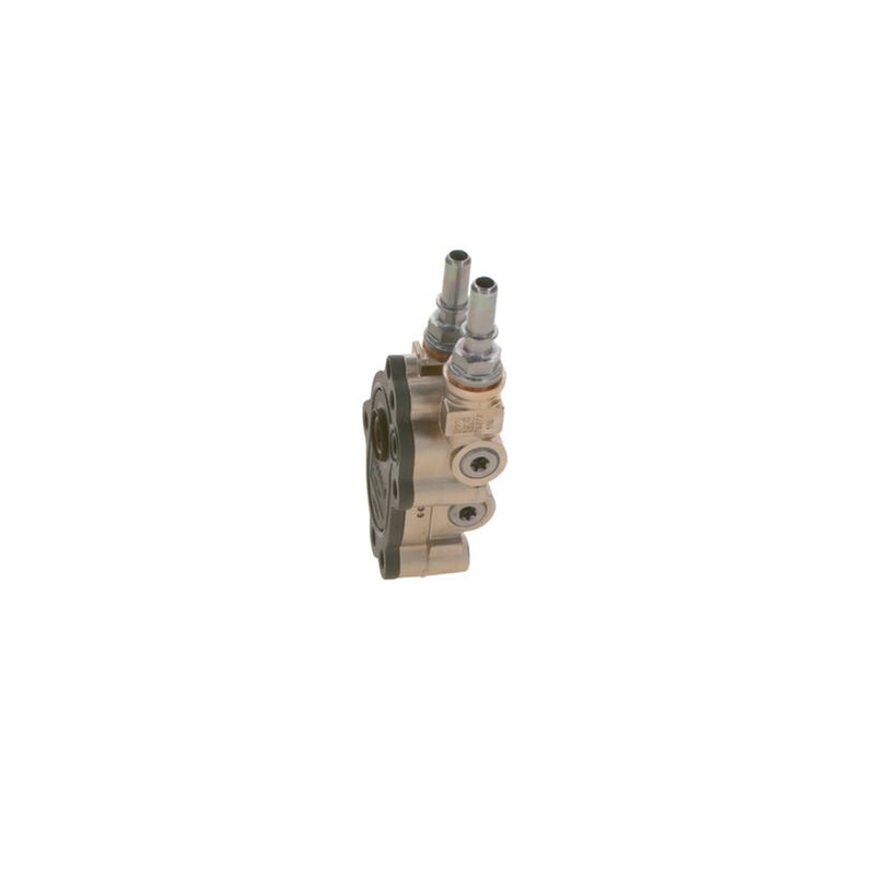 Bosch Fuel Pump Assembly