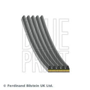 Blue Print Multi V-Ribbed Drive Belt AD05A1495