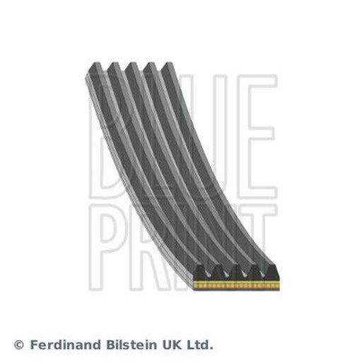 Blue Print Multi V-Ribbed Drive Belt fits Mazda 3 2019 on 2.0