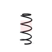 Apec Rear Suspension Coil Spring ACS2069