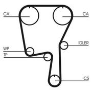 Continental CTAM Timing Belt Cambelt 149 Teeth fits Seat Cordoba 1996-2002 1.4