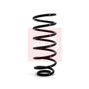 Apec Front Suspension Coil Spring ACS1039