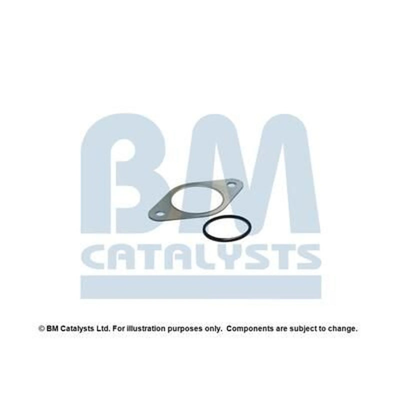 BM Catalysts Fitting Kit FK11061A FK11061A