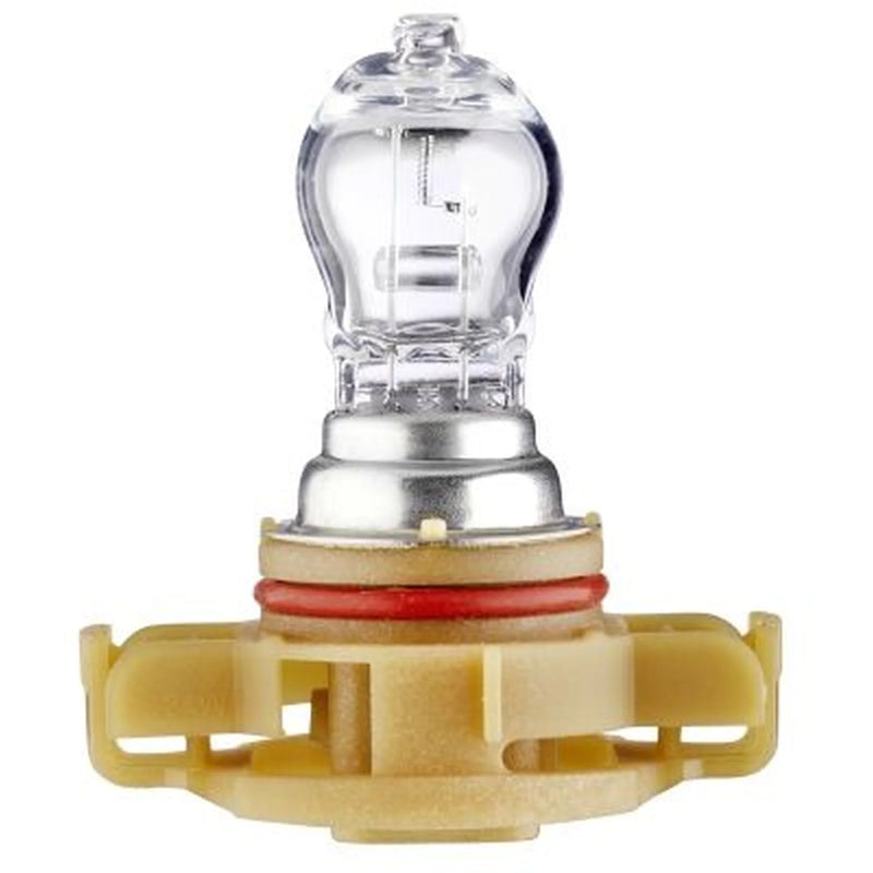 Hella Front Fog Light Bulb PG20/3 12V 24W