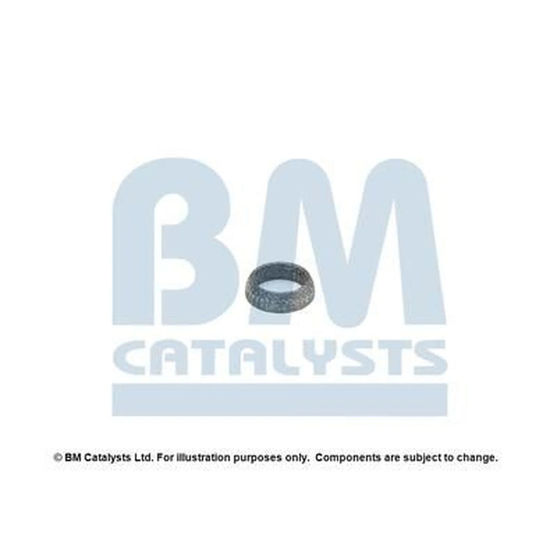 BM Catalysts Fitting Kit FK90531A FK90531A