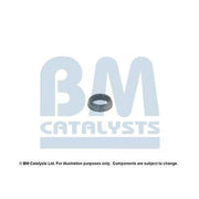 BM Catalysts Fitting Kit FK90531A FK90531A