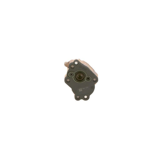Bosch Fuel Pump Assembly