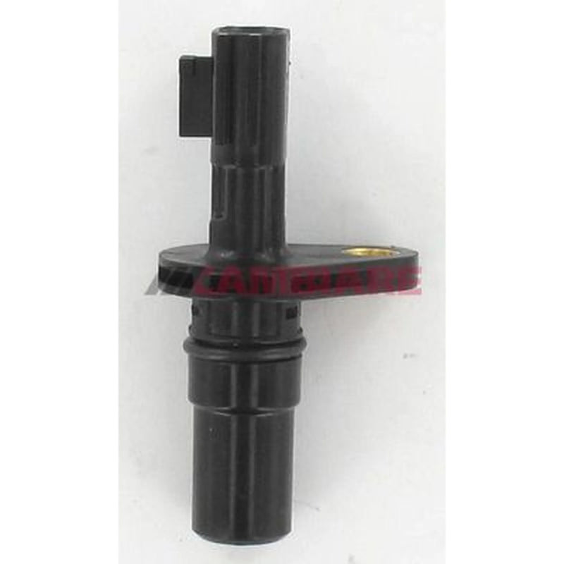 Cambiare Vehicle Speed Sensor VSS Pin