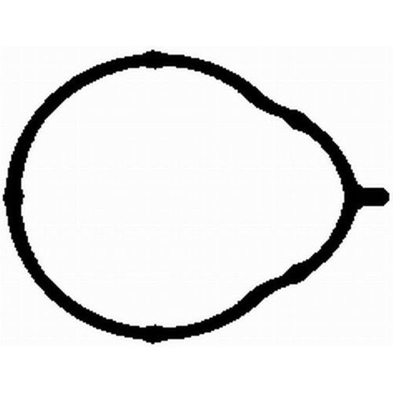 BGA Intake Manifold Gasket Thick fits BMW 3 1997-2006