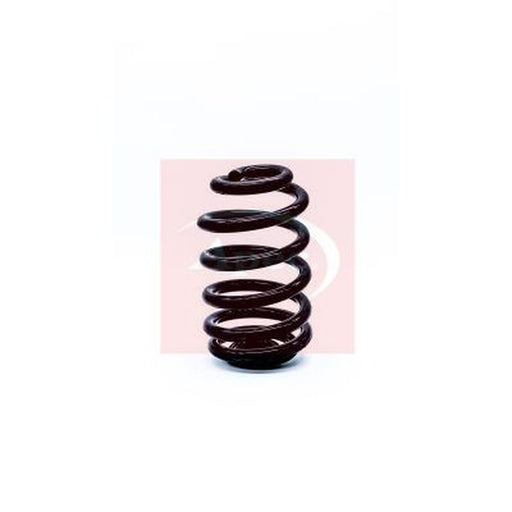 Apec Rear Suspension Coil Spring fits BMW X3 2003-2011 2.0 2.5 3.0