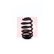 Apec 2 x Suspension Springs fits BMW X3 2003-2011 2.0 2.5 3.0