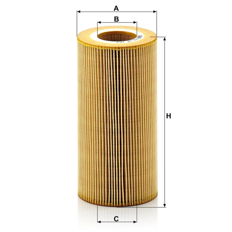 MANN-FILTER Service Kit with Air & Oil Filters fits Daf Xf 105 2005 on