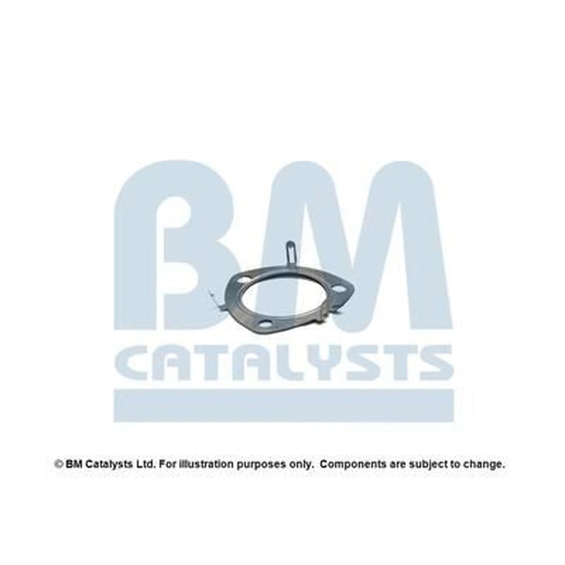 BM Catalysts Fitting Kit FK11396A FK11396A