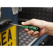 Sealey Screwdriver Pozi #2 x 100mm S01186 Siegen by Sealey - Dynamic Drive