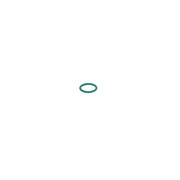 Bosch Rubber Seal Ring