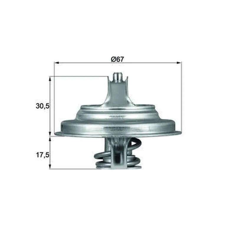 Mahle Thermostat,Coolant