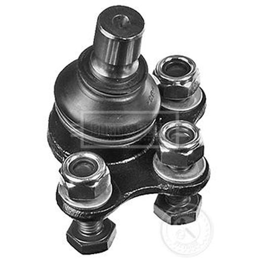 Borg & Beck Ball Joint Lower BBJ5608