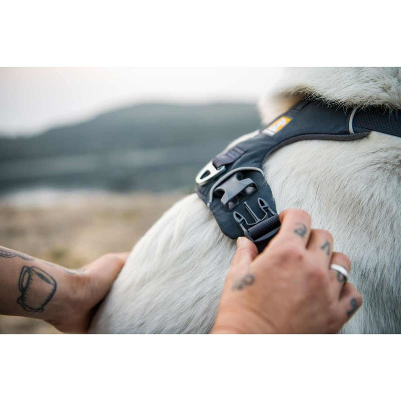 Ruffwear Front Range Dog Harness in Basalt Grey (L / XL) Ruffwear - Bars 4 Cars