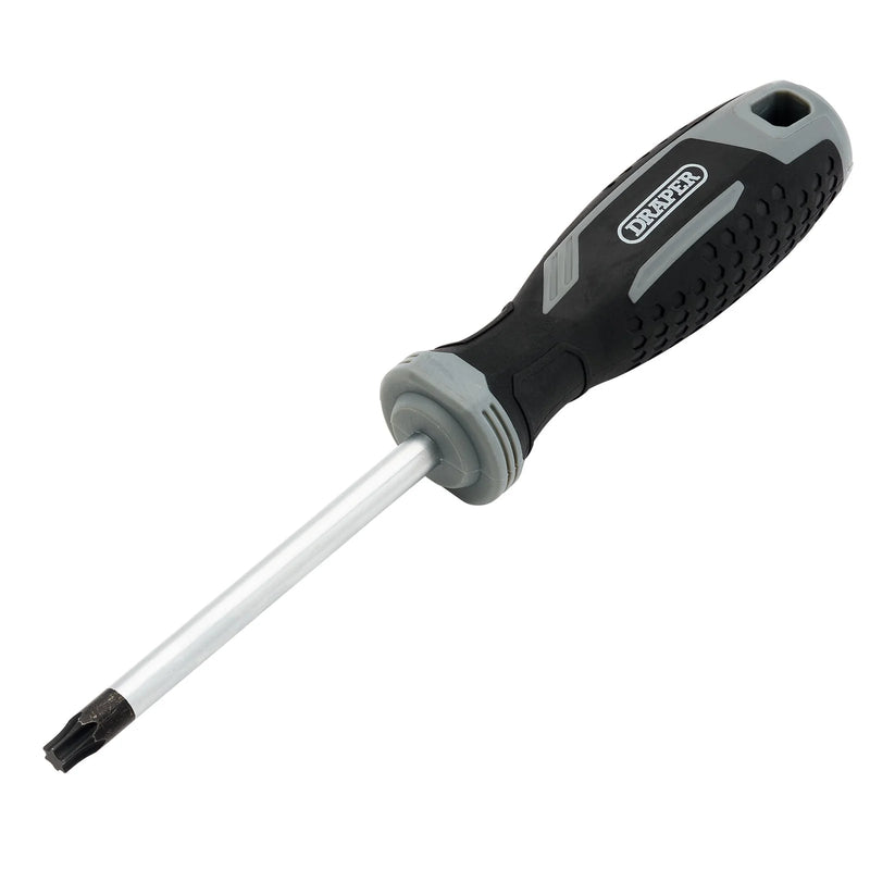 Draper TX-STAR® Soft Grip Screwdriver, T40 x 100mm - 200/T - image 1